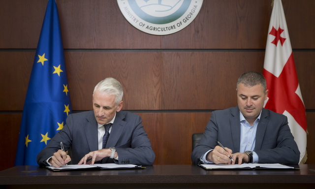  EU financially supports Georgian agriculture