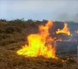 Fire at Mukhatgverdi Cemetery 