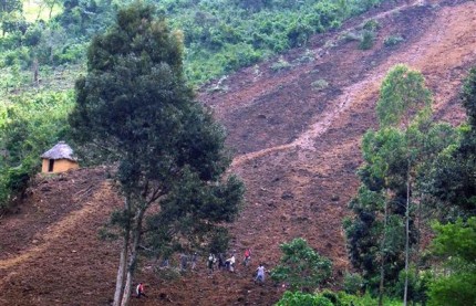 Heavy precipitation inflicts damage on western regions of Georgia