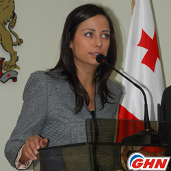 Georgian French sides discuss air reforms 
