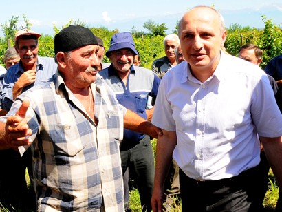 Prime Minister participated in vintage in Kakheti