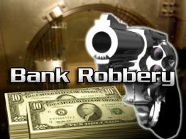 Five dead in Donetsk bank robbery