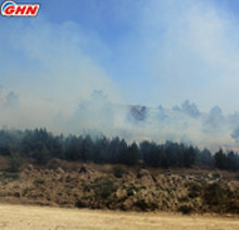 Fire in Shilda village, Kakheti region