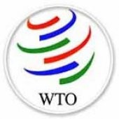 MFA explains reasons for postponing of negotiations for WTO membership